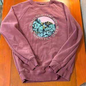 The North Face Mauve Crewneck Sweatshirt with Scenic Graphic